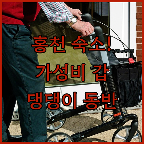 홍천 여행 가성비 숙소부터 애견 동반 펜션까지 추천 리스트와 사진 공개