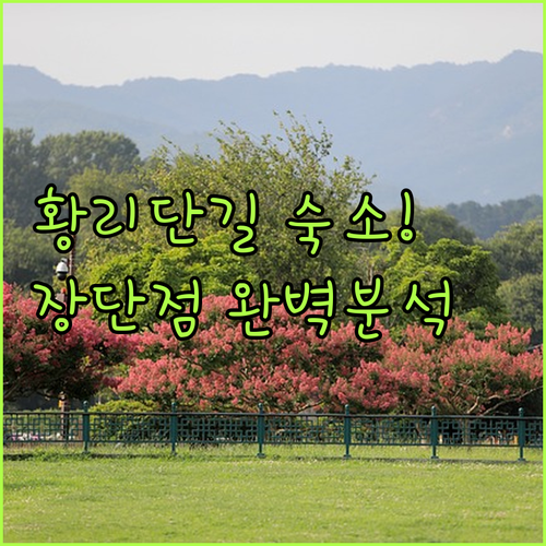 황리단길 근처 경주 숙소 5곳 장단점 분석과 객실 사진 확인하기