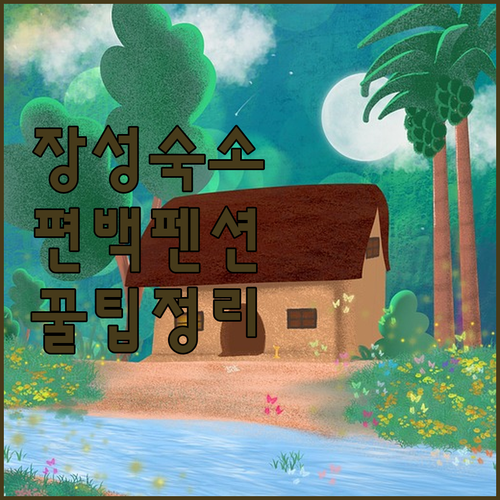 장성 가족 여행 숙소 추천 편백나무 펜션과 역세권 모텔 이용 꿀팁 총정리