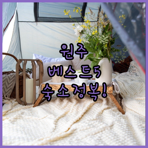 강원도 원주 여행 숙소 5곳 사진과 위치별 특징 완벽 정리