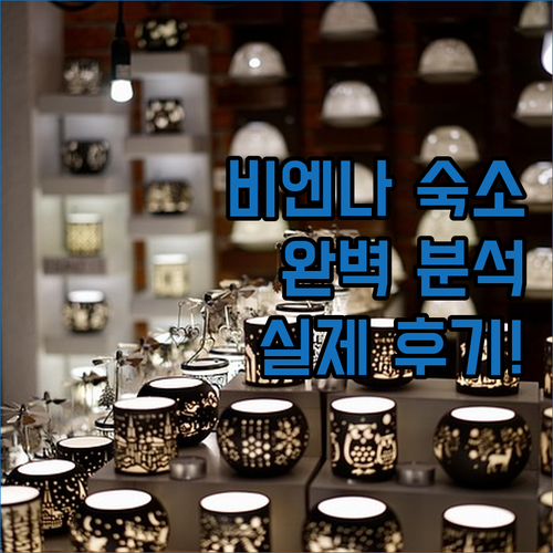 비엔나 여행 숙소 위치별 특징과 실제 후기로 정리한 추천 호텔 명단