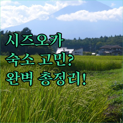 시즈오카 가성비 호텔부터 감성 독채까지 위치별 장단점 및 예약 팁