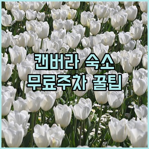 호주 캔버라 여행 숙소 고르는 법 주요 호텔 편의시설 및 무료 주차 정보