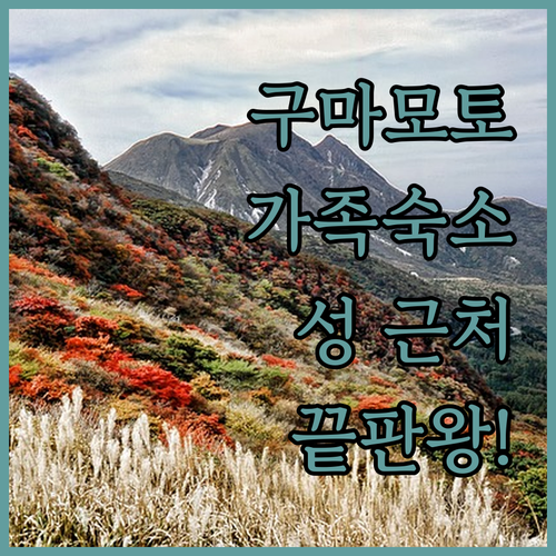 구마모토 가족 여행 숙소 추천 및 구마모토 성 근처 호텔 사진 비교