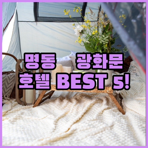 서울 명동 광화문 호텔 추천 베스트 5곳 위치와 가성비 시설 전격 비교