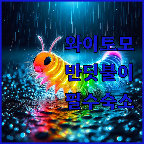 뉴질랜드 와이토모 반딧불이 동굴 가이드 투어 후기와 근처 평점 높은 숙소 추천