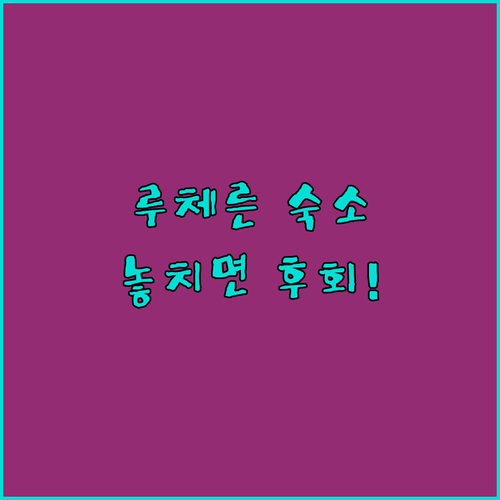 스위스 루체른 여행 숙소 추천 샤토 귀치 바라바스 호스텔 위치 장점 특징 포토 스팟 알아보기