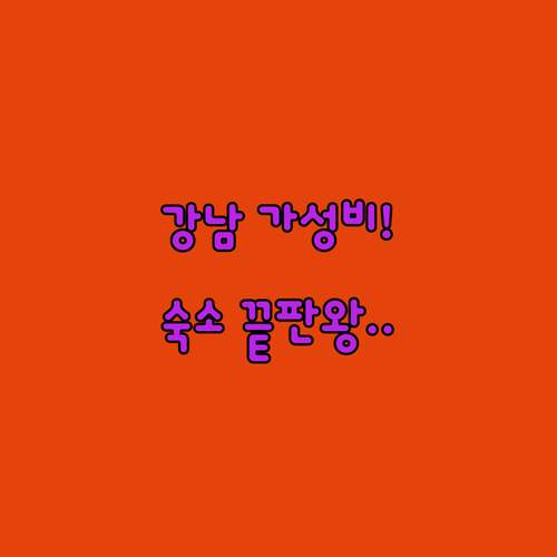 강남 서초 가성비 숙소 추천 TOP 5 위치 장점 시설 실제 후기 분석 사진 확인