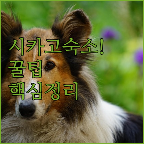 image ab37f849