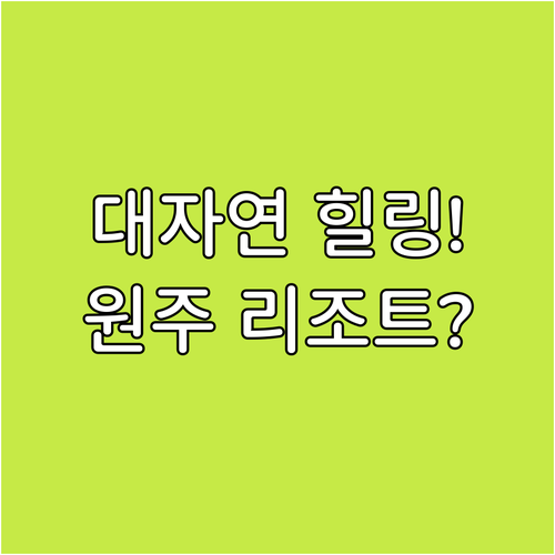 원주 리조트 추천 뮤지엄산 인근 대자연 속 힐링 객실