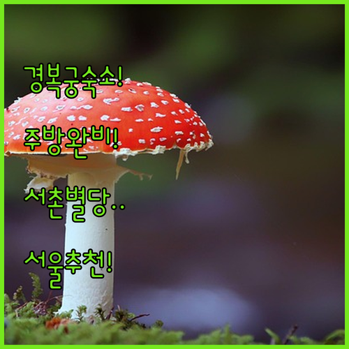 서울 숙소 추천 경복궁 850m 거리 주방 딸린 서촌별당