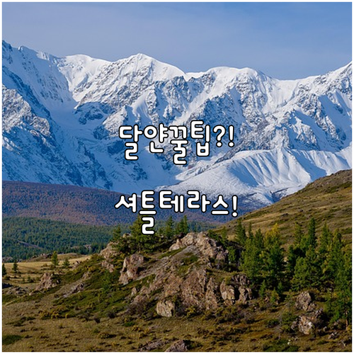 달얀 호텔 추천 마비코스크 아파트 호텔터키 테라스와 셔틀 이용이 편한 곳