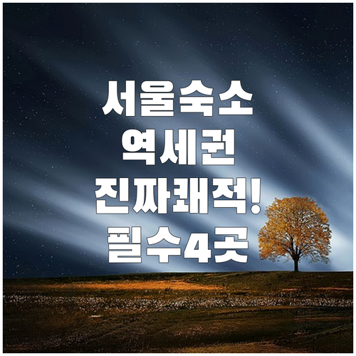 서울 숙소 추천 지하철역 접근성 좋고 쾌적한 주요 지역 4곳