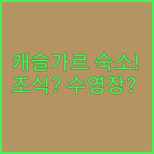 image a02c5235