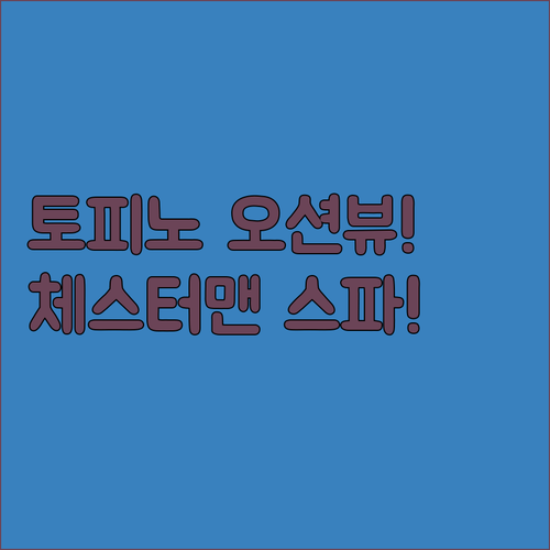 토피노 숙소 추천 체스터맨 비치 오션뷰와 고급 스파 5곳