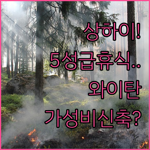 상하이 호텔 추천 휴식 중심 5성급과 위치 좋은 와이탄 가성비 신축