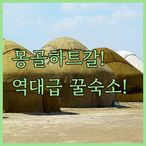 image f61f9883